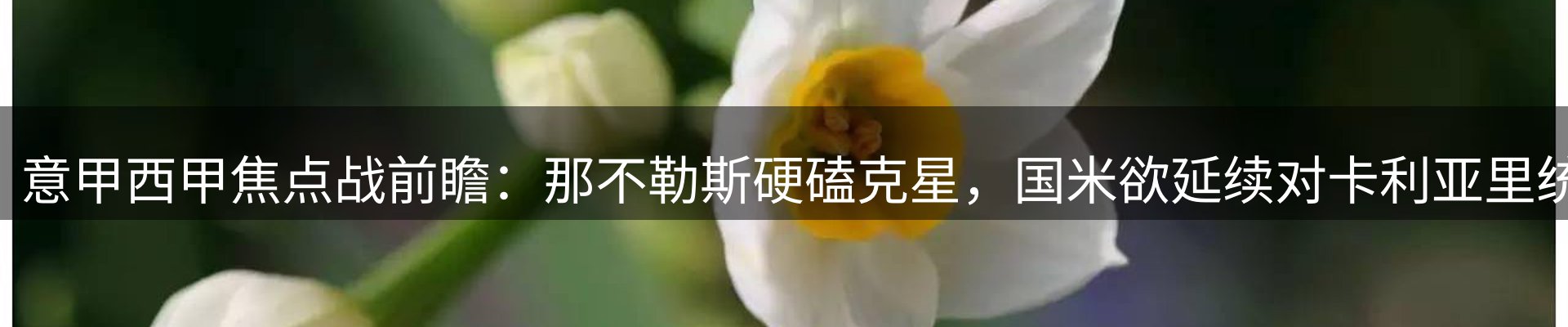 内页banner